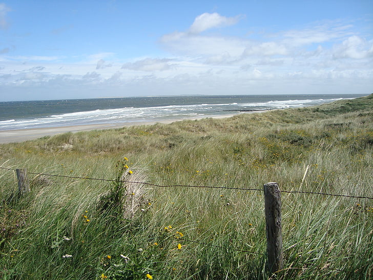 Vlieland, duny, more, Beach, Príroda, Holandsko, pobrežie