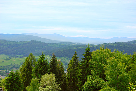 Berge, Wald-Tapete, Blick, Natur, Wald, Baum, Berg