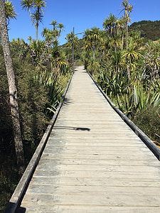 pathway, boardwalk, nature, walkway, landscape, footpath, trail