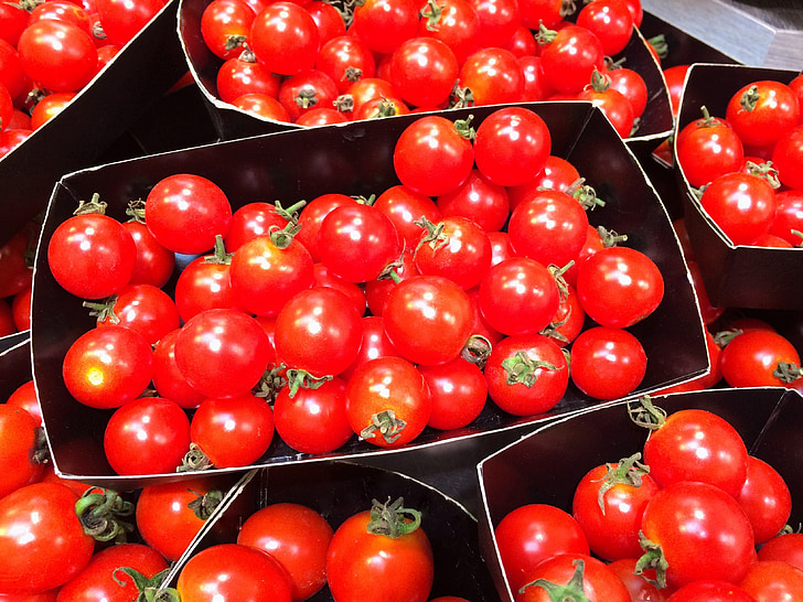 Mini tomat, oranž, punane, roog, ergas, köögiviljad, osakond