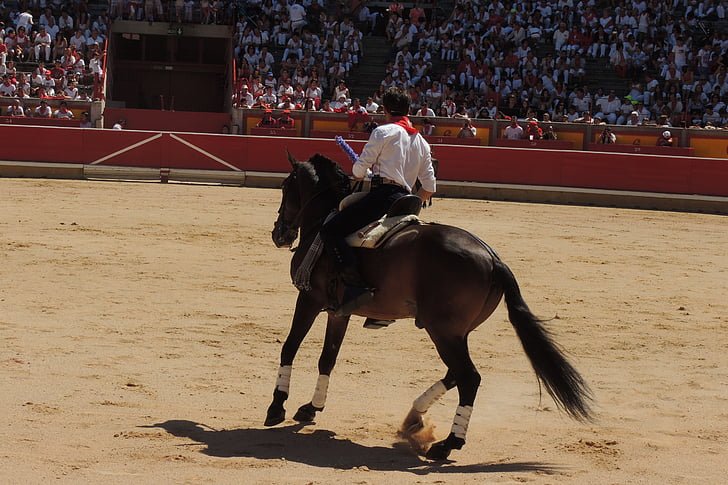 cavall, rejoneo, plaça, Pamplona