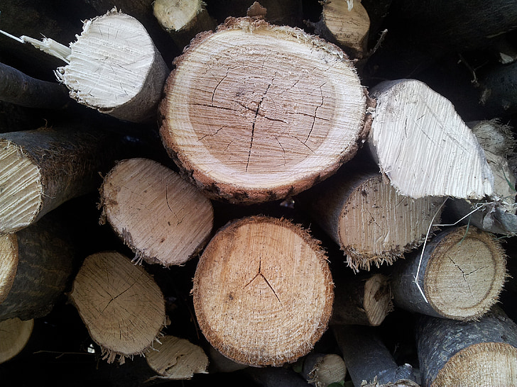 ξύλο, κούτσουρο, δέντρο, δάσος, ξυλοκόπος, τζάκι, στοίβα