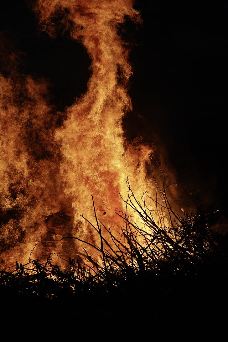 vatra, potpuno novo, plamen, dim, snimanje, drvo vatra, topline