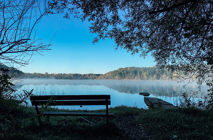 bench, lake, trees, water, landscape, park, view