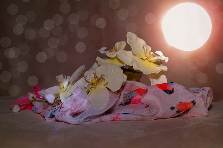 cloth, orchid, flower, bokeh, lighting