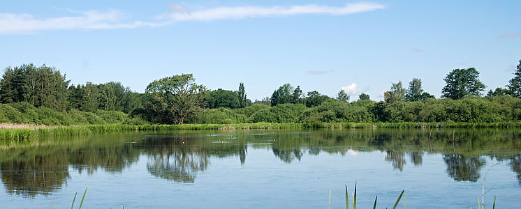 landscape, pond, water, mirroring the landscape level, sky, trees, nature