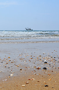 barco de pesca, conchas, mar, o antilla, Lepe, Huelva, Costa