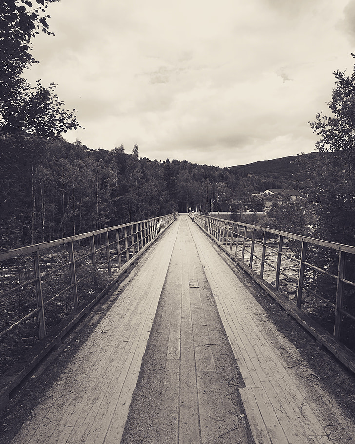 Bridge, Metsä, puu, Luonto, River, spacer, Puro