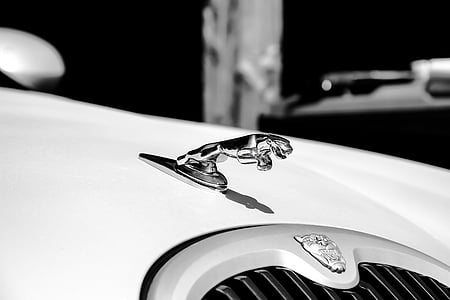 Jaguar, wit, Auto, voertuig, zwart-wit, Limousine, luxe