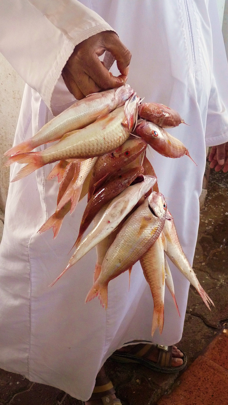 Balık pazarı, taze catch, Arapça