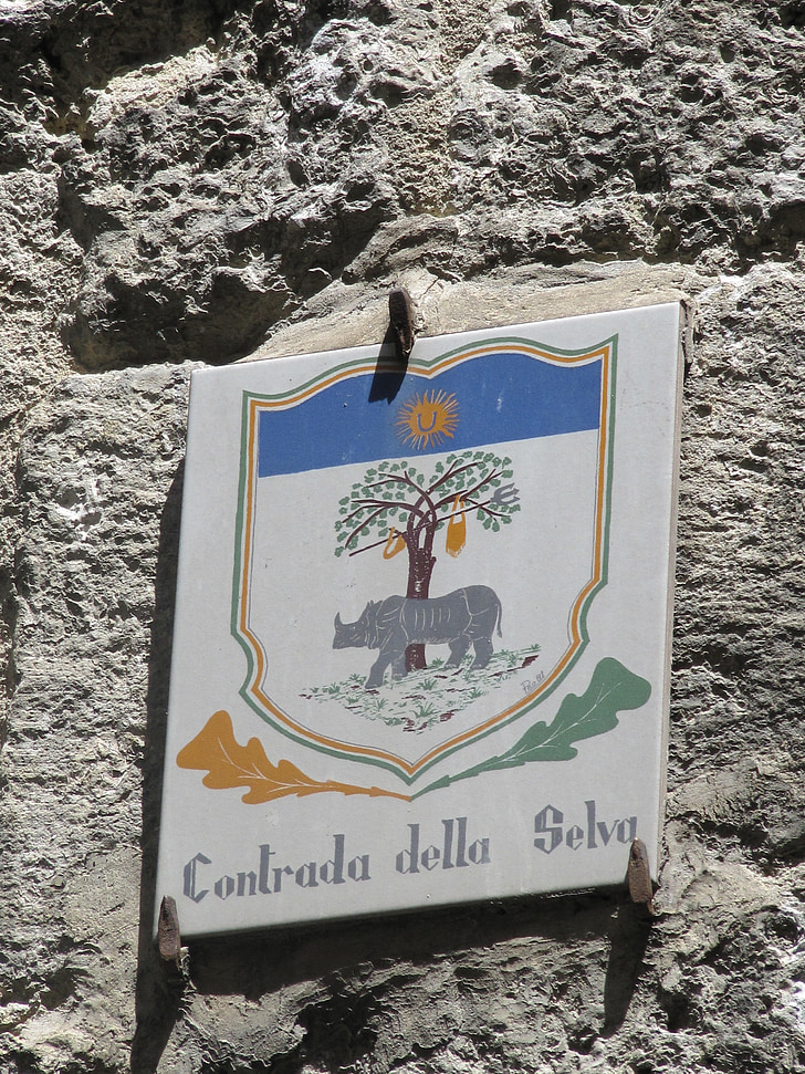 de contrade van het bos, Palio, Siena, district, paardenrennen
