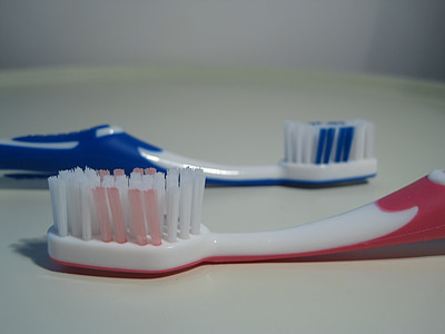 tandborste, tandvård, tandvård, hygien, kroppsvård, Prosit, Rengör