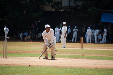 Cricket, pratique, batteur, jeu de balle, Inde, concours, lecteur