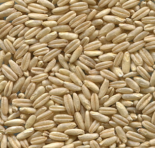 naked oats, cereals, grain, seed, food, backgrounds, close-up
