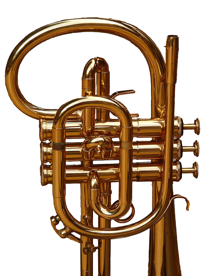 Cornet, trompet, koperen blaasinstrumenten, instrument, akoestische, Jazz, Hoorn