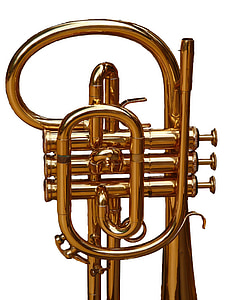 Cornet, trumpet, dụng cụ bằng đồng thau, nhạc cụ, âm thanh, nhạc jazz, Horn