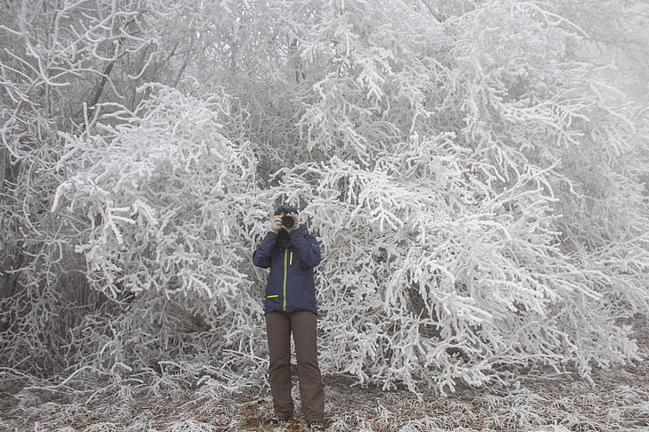 rimfrost, vinter, fotograf