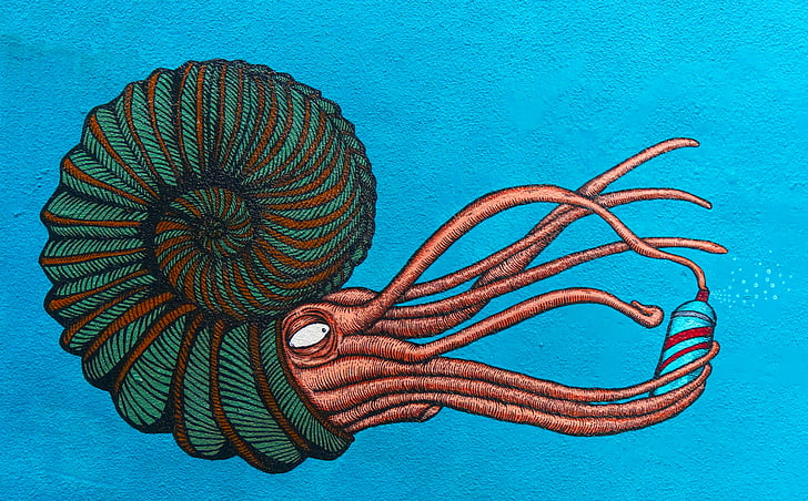 Straße, Kunst, Ammonit, Nautilus, Aerosol, Graffiti, Urban
