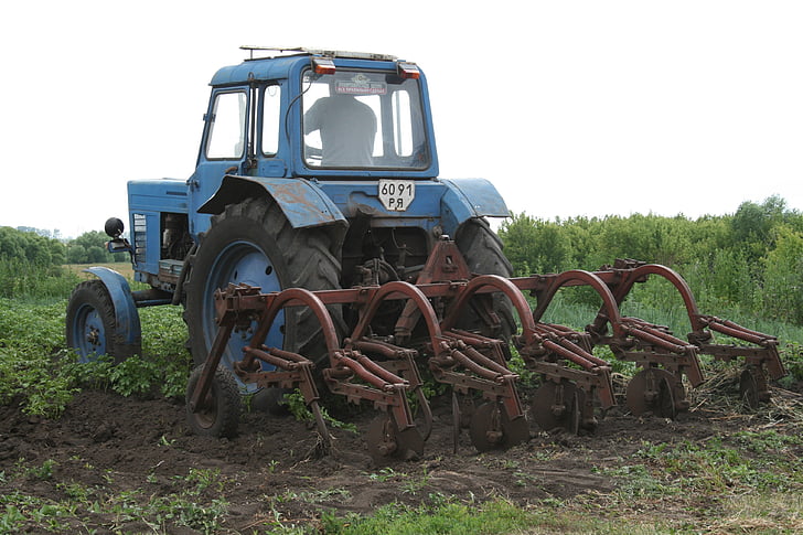 traktorius, technika, daržovių sode, transporto, ūkininkas