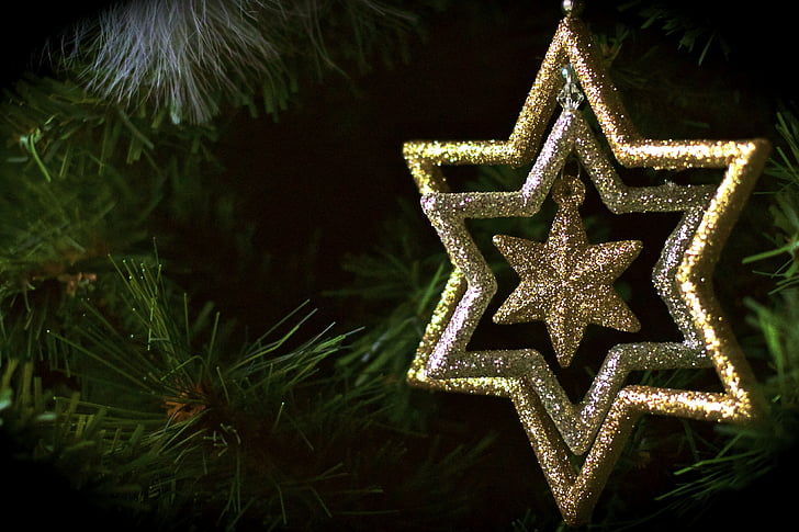 christmas, star, fir, festival, joy, winter, decorations