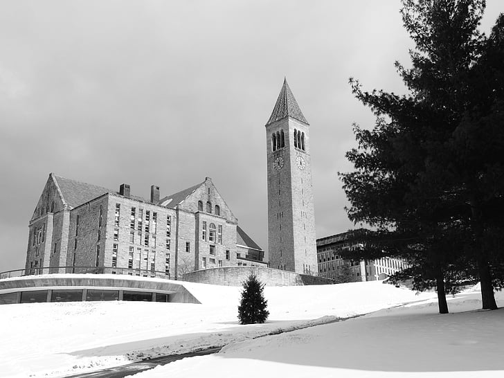 Universidade de Cornell, faculdade, u, Universidade, Cornell, educação, arquitetura
