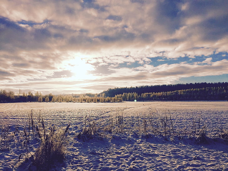 fons de neu, paisatge, l'hivern, posta de sol, cel, núvols