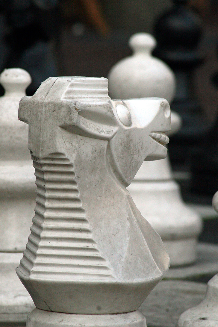 chess, black, white, pawn, chessboard, horse, amsterdam