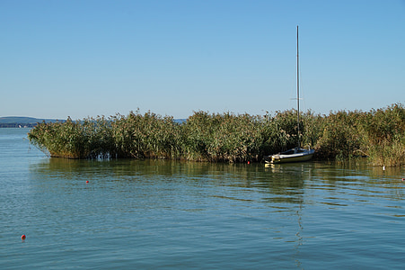 lake, balaton, reeds, rowboat, sailing boat