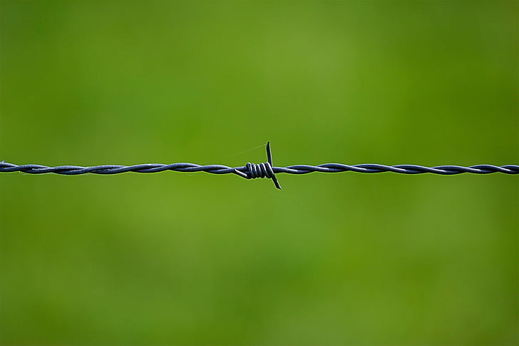grey, barb, wire, green, security, Barbed wire, background
