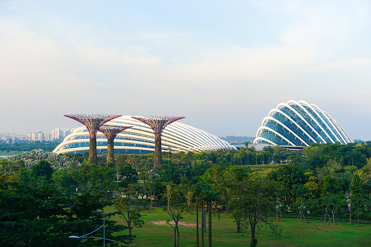 Cingapura, flor, cúpula, cena, Ásia, botânicos, Parque