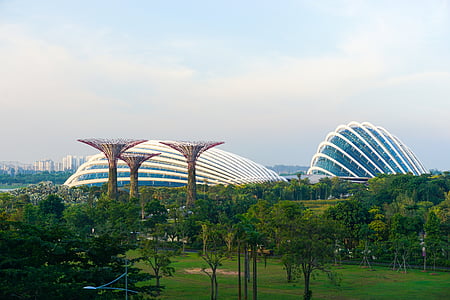 Szingapúr, virág, kupola, jelenet, Ázsia, botanikus, Park