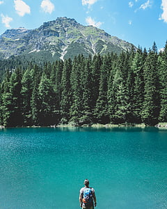 man, blue, backpack, near, green, body, water