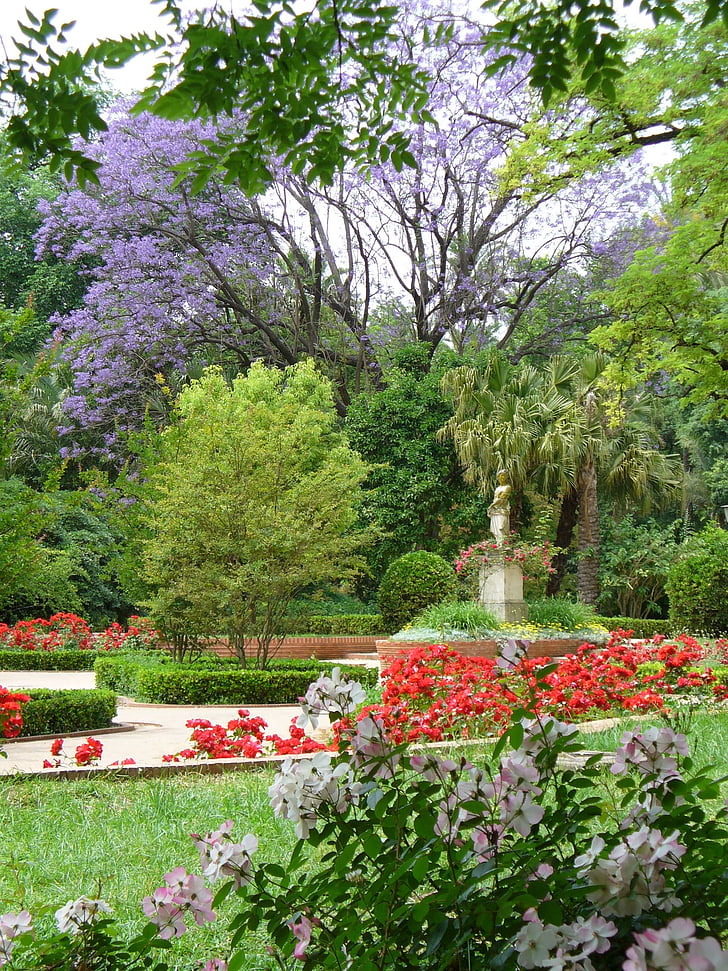 парк, пейзаж растения, природата, Градина, дървета, цвете, растителна