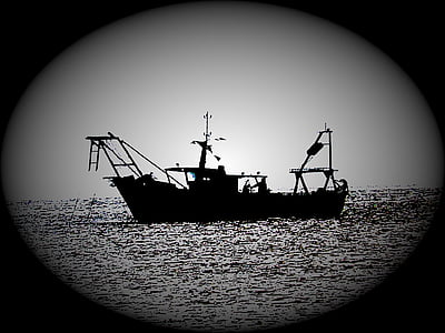 fiske, fiskebåt, skugga, siluett, bakgrundsbelysning