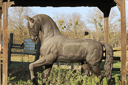 häst-statyn, häst, gamla, staty