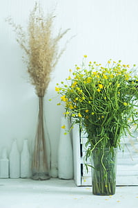 vase, sommer, gul, Ranunkel, sommerblomster, plante, natur