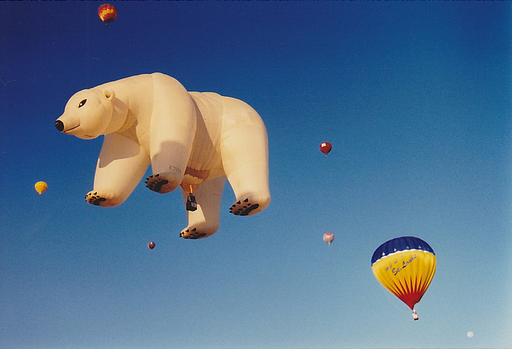 balão de ar quente, balão, urso polar, colorido, vibrante, Albuquerque, aérea