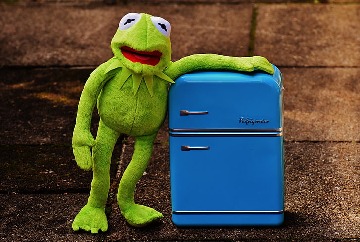 Kermit, frosk, kjøleskap, morsom, retro, grønn, leker