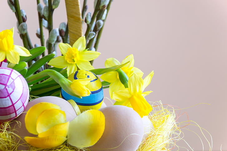 easter, flower, composition, the background, decoration, colored, fresh