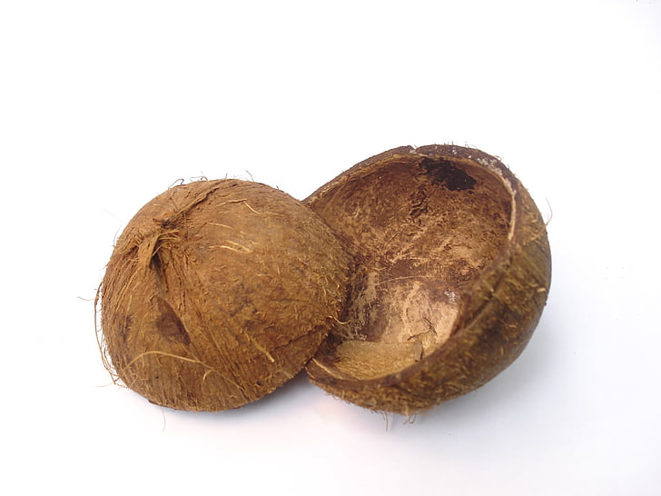 shell, coconut, coconut shell, half, halves, tropical, palm