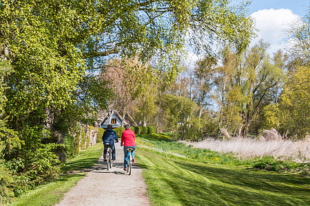 Ostseebad ahrenshoop, jazda na rowerze, Fischland, althagen, ścieżka rowerowa, wiosna