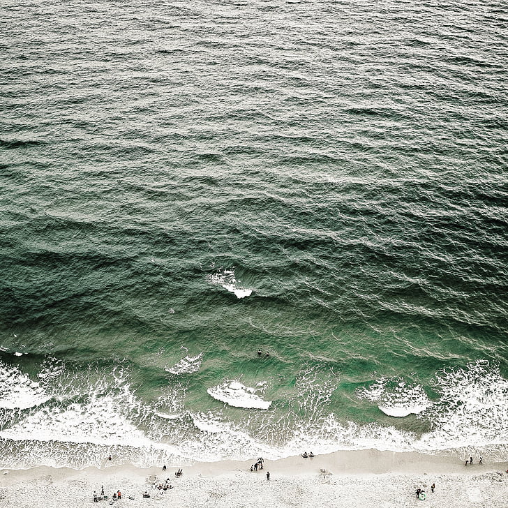 aves, ojo, Fotografía, personas, reunión, orilla del mar, calma
