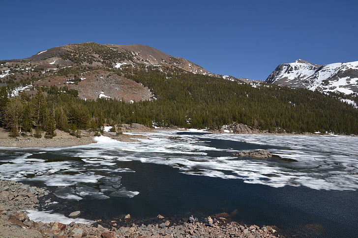lake, ice, plaice, mountains, forest, frozen, cold