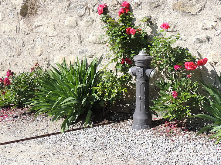 hydrant, blomster, vegg, brann