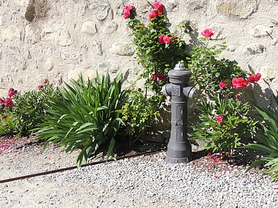 hydrant, kvety, Nástenné, oheň