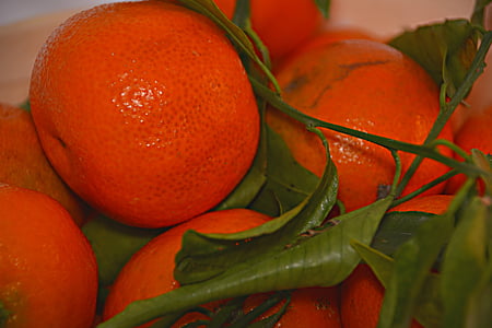 mandarines, fruits, agrumes, Sud, rouge