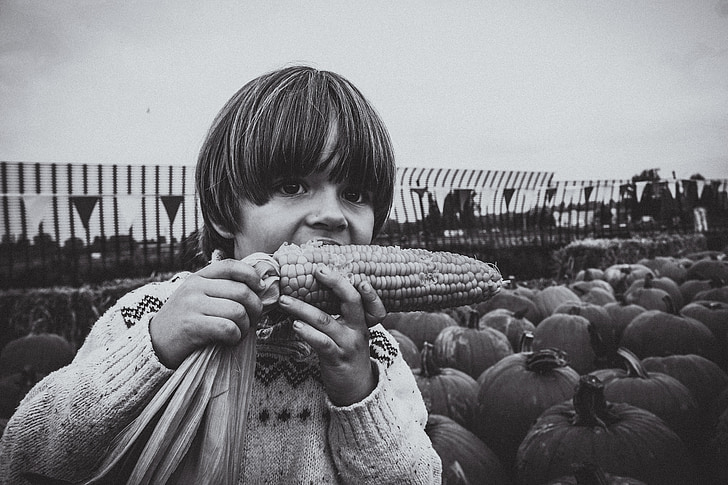 dieťa, chlapec, Kid, jesť, kukurica, októbra, farma