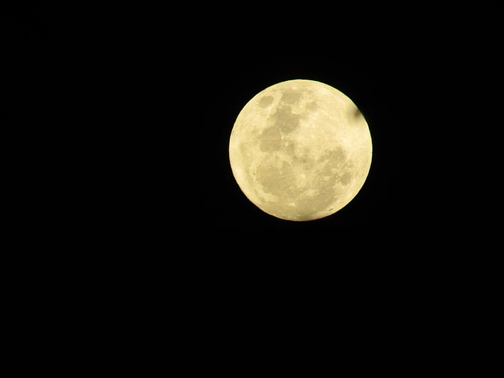 Supermoon, Queensland, Australia, listopad 2016, Księżyc, noc, astronomia