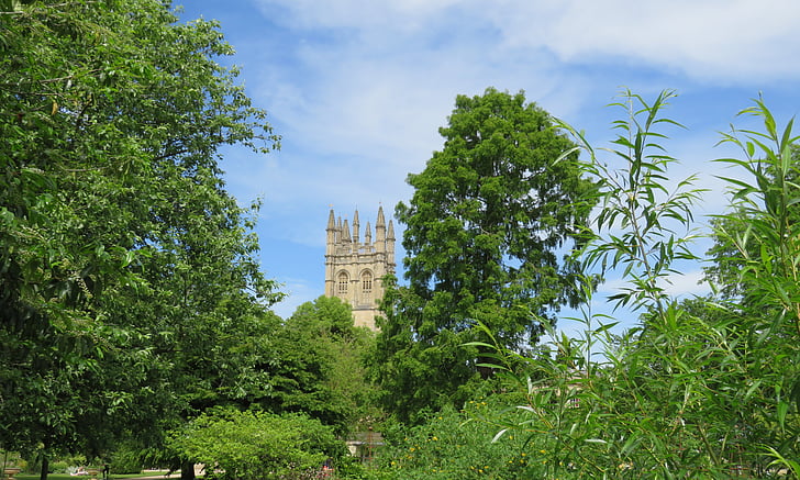 Oxford, Magdalen, tårnet, taket, Universitetet, College, Oxfordshire