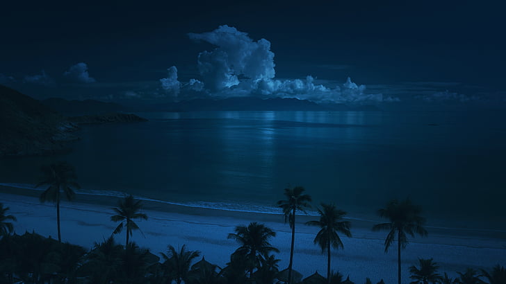pludmale, mākoņi, daba, naktī, okeāns, palmas, smilts
